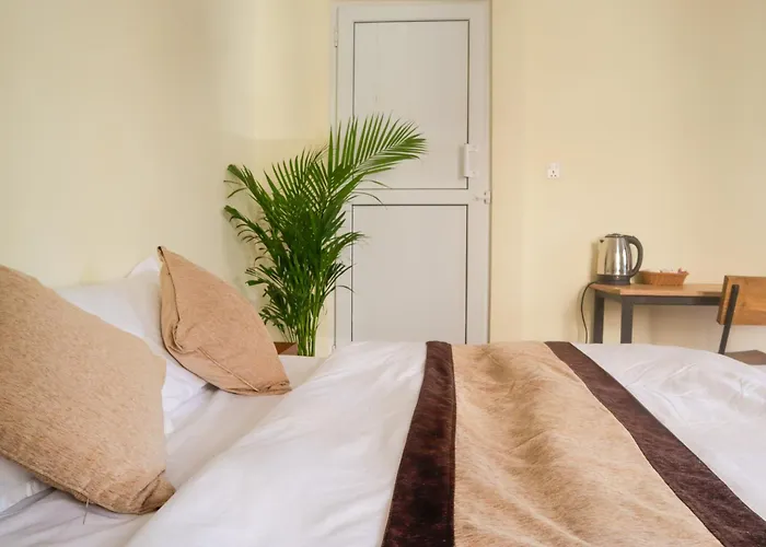 Guest house Zen Nest 3*